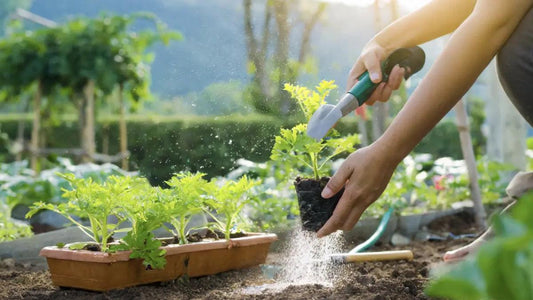 Micronutrients in Vegetable Plant Food: The Hidden Heroes of Your Garden