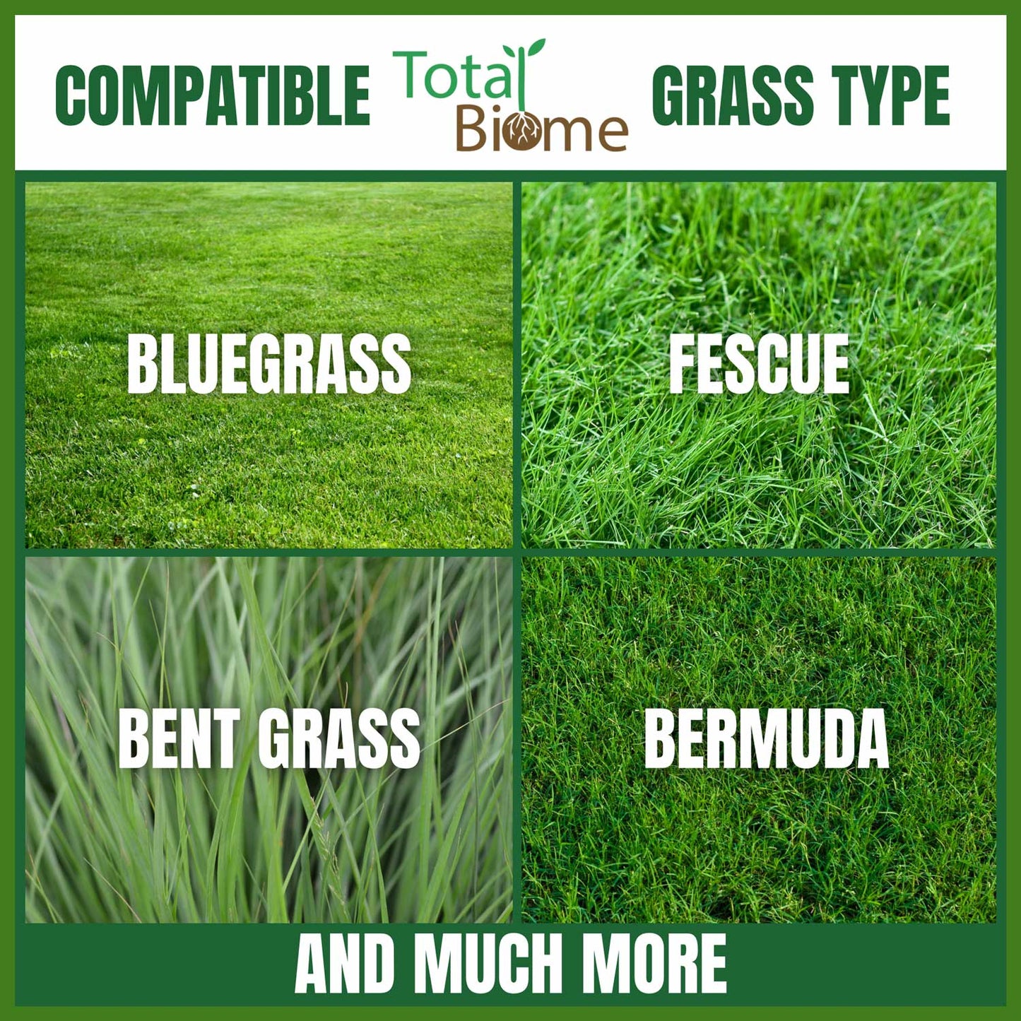 Organic Liquid Grass Fertilizer - Total Biome